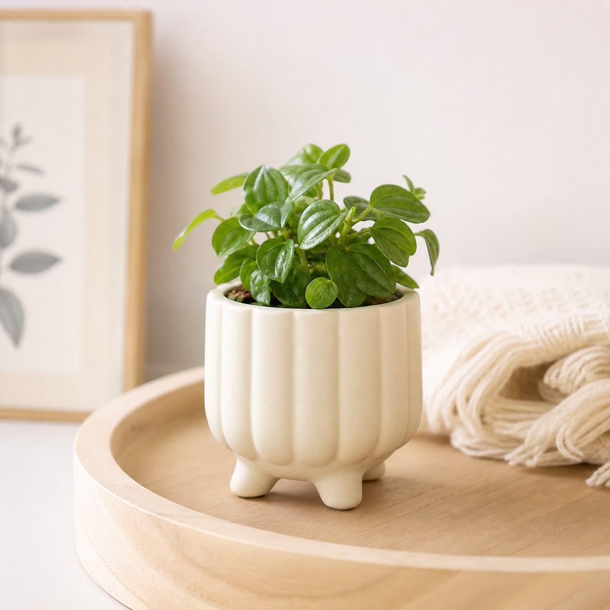 Mini Plant Pot